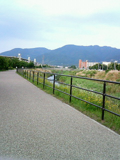 20070613_237860.jpg