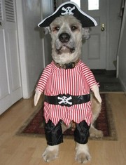 Pirates of ...