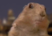 Laser Squirrel