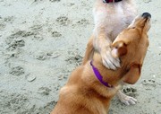 No Scribbles, No!