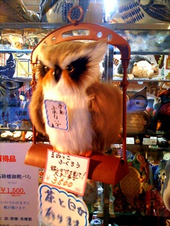 photo2.jpg