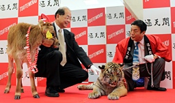 photo1.jpg