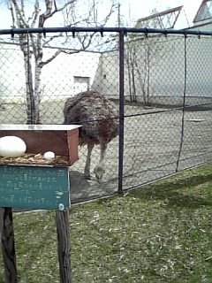 20070505_128710.jpg