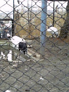 20070505_128717.jpg