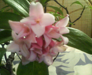 201002271611000.jpg