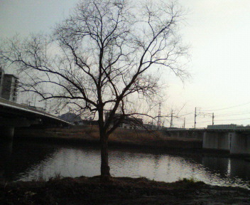 201103081521000.jpg