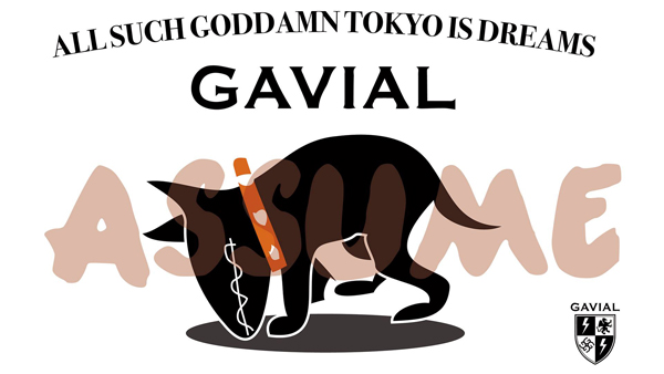 GAVIALより新作入荷 | AUDIO BLOG