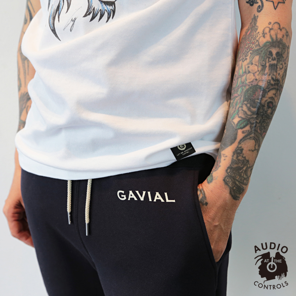 GAVIAL 中村達也