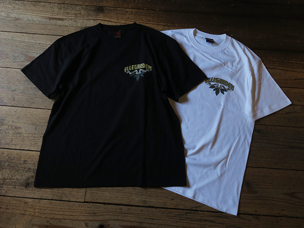 ELLEGARDEN『The End of Yesterday Tour 2023』in 四国 | AUDIO BLOG