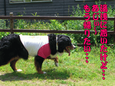 到着後のアルル