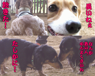 早く遊びたいよ〜