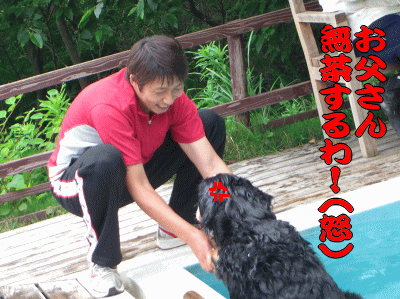 無理矢理放り込むな〜
