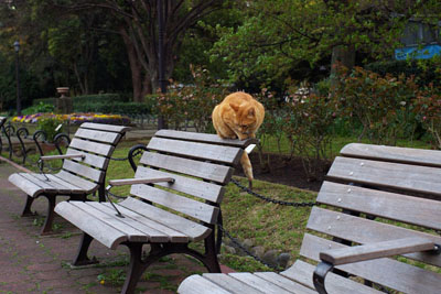 公園で