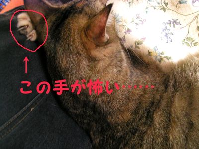 寝ていても、怒り爆裂中〜
