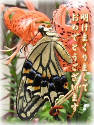 初春の〜