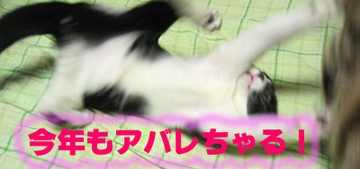 アバレ猫ジャー参上!