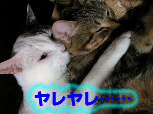 はぁぁ〜〜〜っ