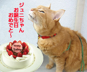 チィちゃんより♪