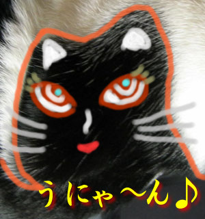黒猫がおんねん