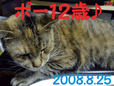 ポーお嬢も12歳♪