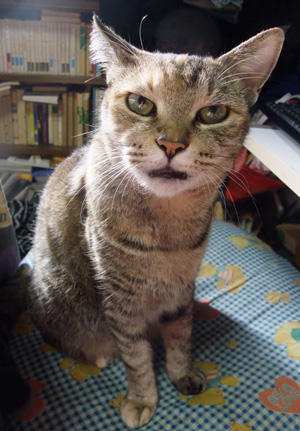 私は元気よ