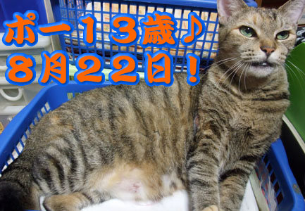 誕生日は22日よ!