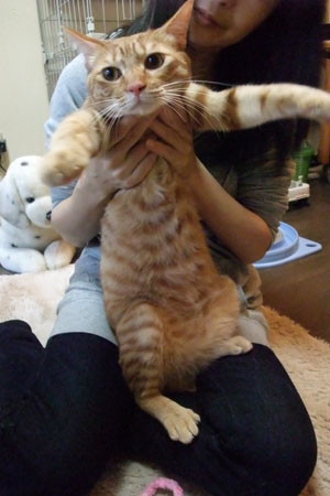 お相手ありがとう♪