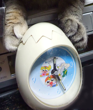 この手は誰の手?