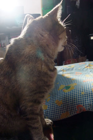もしもし