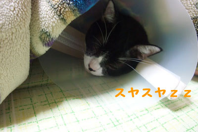 顔はココzz