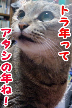 アタシの年ね♪