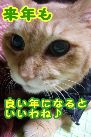 来年もヨロシク♪