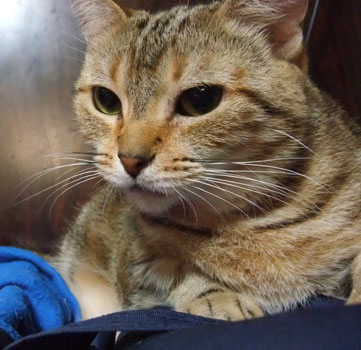 なんのことでちか?^^;