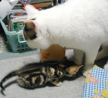 あの頃キミは