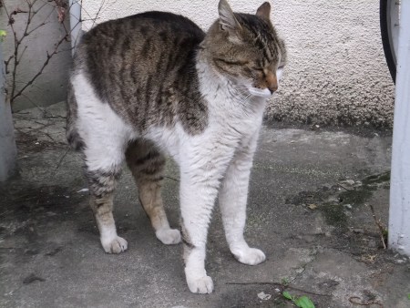 階段下で出会った