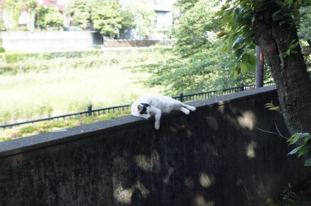 お休み中ですか?