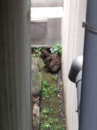 新規お客さん