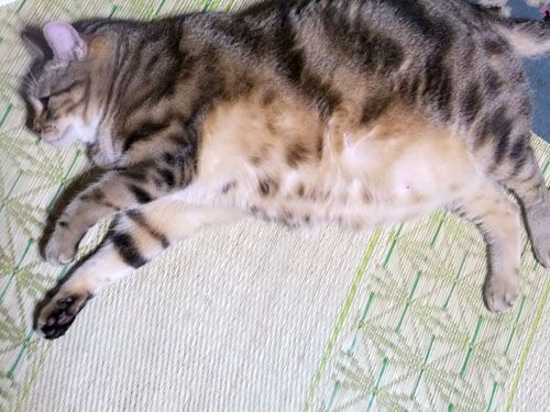 まさかの。。。