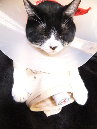 どんだけ〜ラブ1