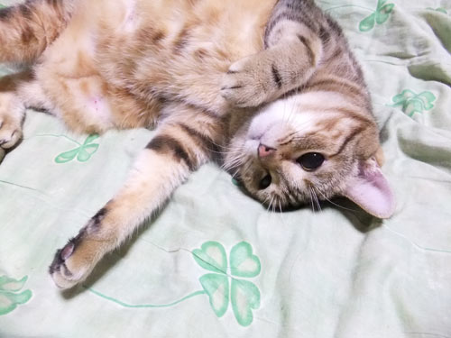 ぽっつん