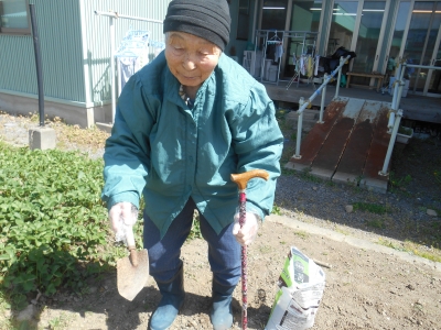 畑に石灰撒き