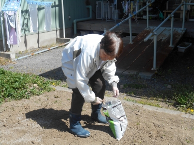 畑に石灰撒き