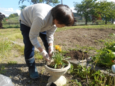 花植え付け