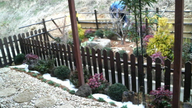 2010021318080000.jpg