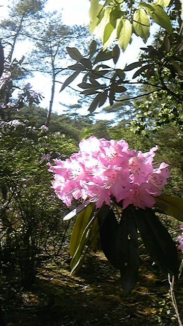 2011052607500000.jpg