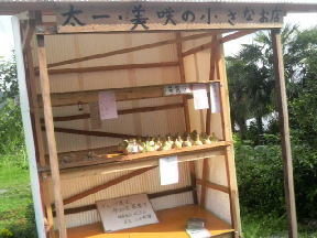 2011061716490000.jpg
