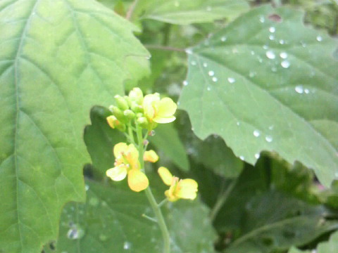 2011061910170000.jpg