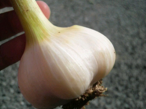 2011062418120000.jpg