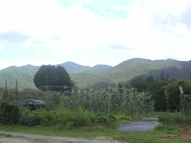 P1000488.jpg