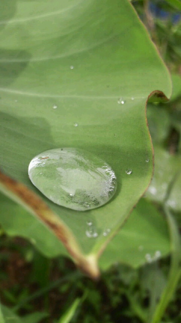 2011082517540000.jpg